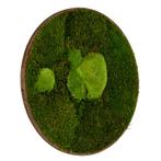 Mosschilderij Rond 100 cm Donker Eiken - Esbjerg, Huis en Inrichting, Verzenden, Nieuw