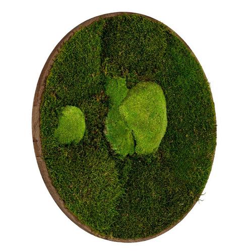 Mosschilderij Rond 100 cm Donker Eiken - Esbjerg, Huis en Inrichting, Woonaccessoires | Lijsten, Verzenden