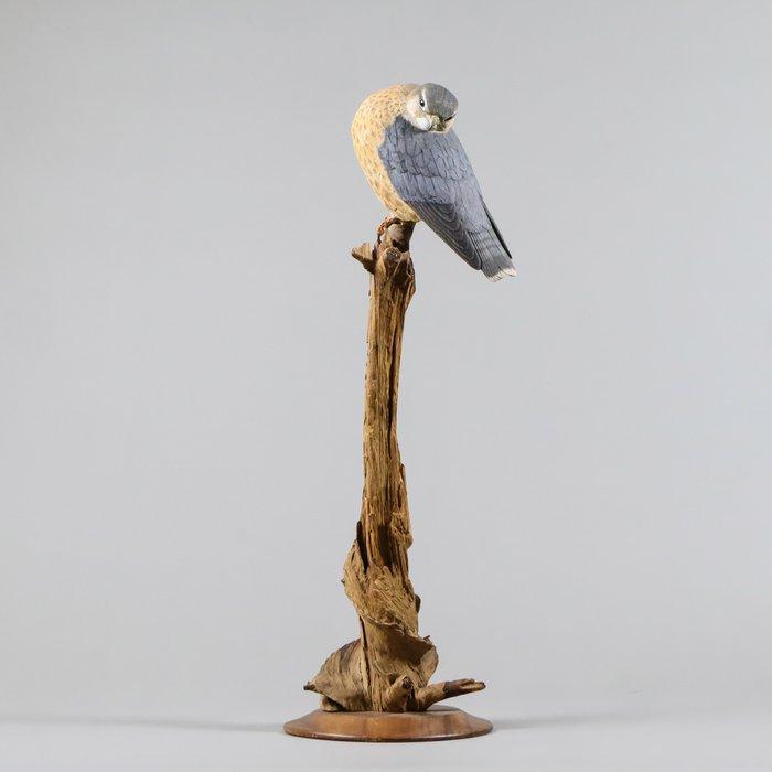 Bird of Prey Sculpture – Falcon (Merlin) - Beeld Hout -, Antiek en Kunst, Antiek | Overige Antiek