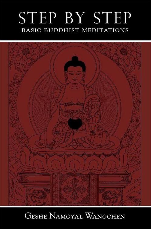 Step by Step 9780861716005 Namgyal Wangchen, Livres, Livres Autre, Envoi