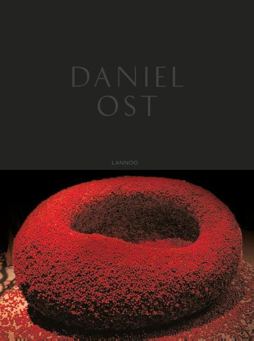 Daniel Ost - Meesterschap 9789401429931 Daniel Ost, Boeken, Kunst en Cultuur | Beeldend, Gelezen, Verzenden