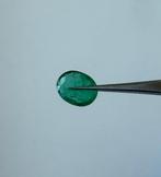 1 pcs Groen Smaragd - 1.46 ct - International Gemological, Nieuw