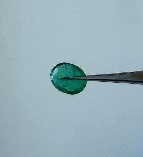 1 pcs Groen Smaragd - 1.46 ct - International Gemological, Handtassen en Accessoires, Edelstenen