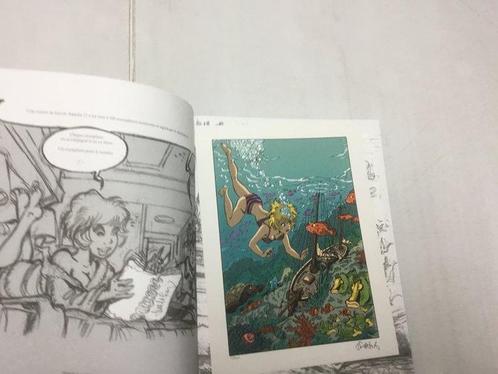 Natacha - LEpervier bleu + Sur les traces de lépervier, Boeken, Stripverhalen
