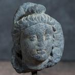 Gandhara Schist Hoofd van Bodhisattva - 2e-4e eeuw na, Antiquités & Art