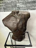 Buste, Prachtige Bronzen Buste – Gedetailleerd Borstebeeld