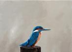 Matthieu van Riel - Kingfisher sitting on a Pole, Antiek en Kunst