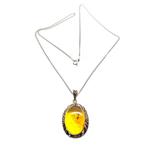 Natuurlijke Baltische Amber met ingesloten versteende, Antiek en Kunst