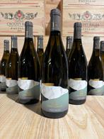 2022 Torre Rosazza, Sauvignon - Friuli-Venezia Giulia - 12, Nieuw