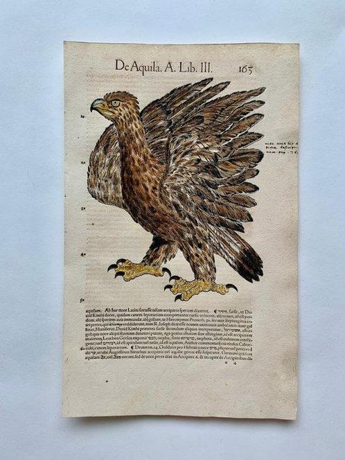 World - Impression décorative; Conrad Gesner - Icones, Boeken, Atlassen en Landkaarten
