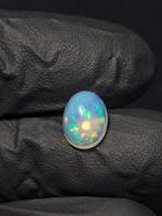 2,32 ct - Belles opales nobles naturelles Welo, avec un joli, Verzamelen