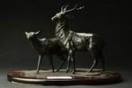 Lifelike bronze sculpture of a couple deer - Sculpture, Antiek en Kunst