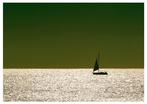 Roberto Cavalli - Into the wild / boat italy #797
