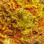 Felgroene pyromorfiet Kristallen op limonietmatrix –, Verzamelen