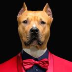 Bonaschi (1959) - Poltrona n°141221