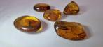 Amber - Barnsteen (Zonder minimumprijs), Verzamelen, Mineralen en Fossielen
