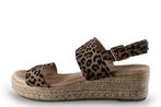 Dolcis Espadrilles in maat 40 Overig | 5% korting, Verzenden, Espadrilles