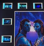 Avatar - Framed Film Cell Display with COA, Nieuw