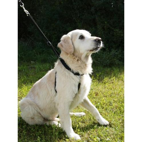 Maxi leader hondentuig maat 3 zwart - kerbl, Dieren en Toebehoren, Honden-accessoires, Nieuw