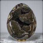 Zeer decoratieve septarien Ei met calcietkristallen- 4179.22
