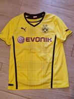 Borrusia Dortmund - Duitse voetbal competitie - 2013 -, Collections