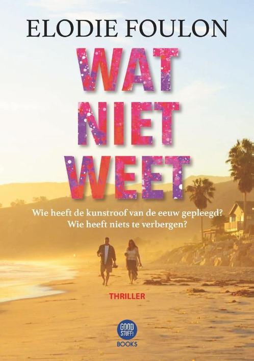 Wat niet weet 9789082987171, Livres, Thrillers, Envoi