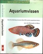 Aquariumvissen, Verzenden