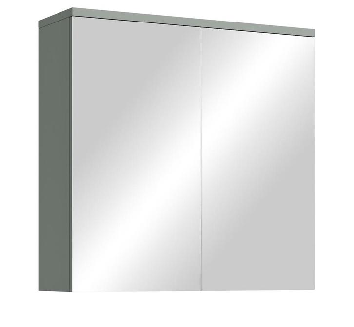 Spiegelkast Toledo 60 x 20 x 60 cm Mat Groen Badkamerkast, Huis en Inrichting, Badkamer | Badkamermeubels, Nieuw, Verzenden