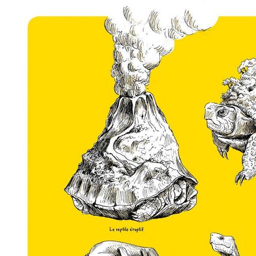 Cédric Lestiennes - Tortues jaunes, Antiek en Kunst, Kunst | Designobjecten