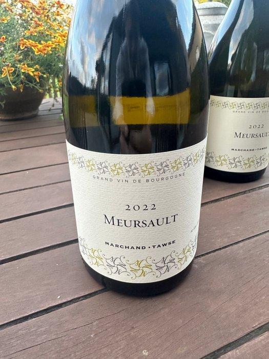 2022 Marchand-Tawse - Meursault - 3 Flessen (0.75 liter), Verzamelen, Wijnen