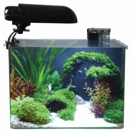 Aquatic Nature Aquarium COCOON 7 (43,2 L) 45x30x32H, Animaux & Accessoires, Poissons | Aquariums & Accessoires, Envoi
