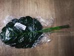 Monstera blad monsterablad 17*40cm. pak +/- 10 vt wonen, Huis en Inrichting, Nieuw