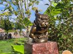 Statue, Bronze: Bulldog Car Mascot - 16 cm - Bronze, Marbre