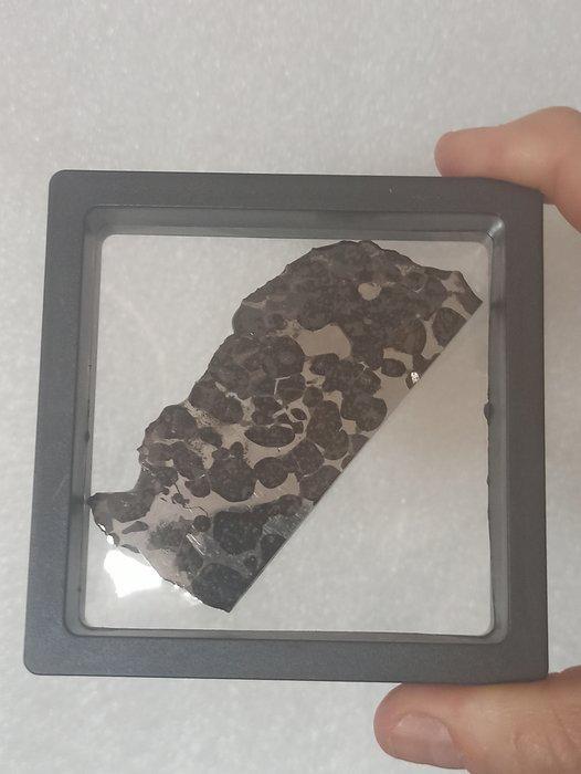 SERICHO - pallasiet meteoriet - GROTE GEPOLIJSTE SNEDEN., Verzamelen, Mineralen en Fossielen