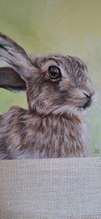 Mireille Both - Hare
