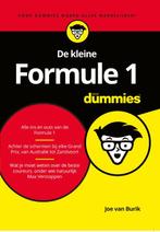 De kleine Formule 1 voor Dummies 9789045356914, Boeken, Zo goed als nieuw, Joe van Burik, Verzenden