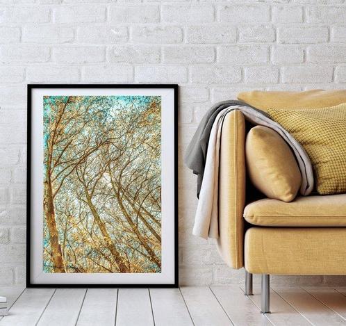 Jorge Omeñaca - Vaiven forest, Antiek en Kunst, Kunst | Schilderijen | Modern
