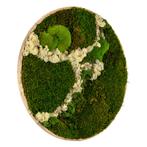 Mosschilderij Rond 100 cm Ongelakt Eiken - Svendborg Latte, Verzenden, Nieuw