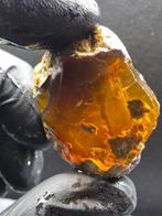 124.65ct Natural Crystal Opal Specimen Ruw- 24.93 g