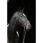 Bridon cuir noir pour poney, Animaux & Accessoires