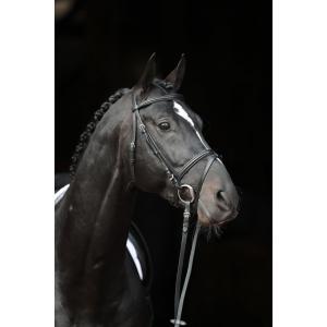 Bridon cuir noir pour poney, Dieren en Toebehoren, Paarden en Pony's | Overige Paardenspullen