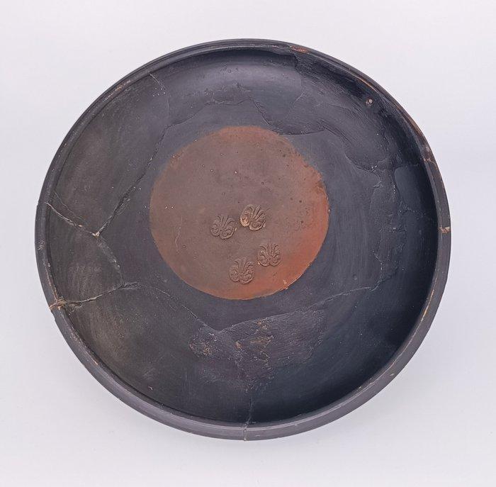 Oud-Grieks, Magna Graecia Terracotta Glanztoon-schaal met, Verzamelen, Mineralen en Fossielen