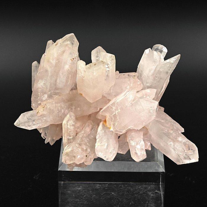 Zeldzaam, roze kwarts schelpen en skeletvormen, Roemenië, Verzamelen, Mineralen en Fossielen