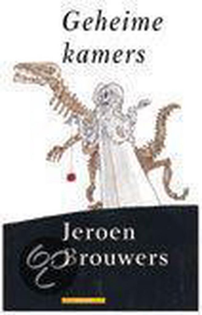 GEHEIME KAMERS (GEB) 9789045007236 Jeroen Brouwers, Boeken, Romans, Zo goed als nieuw, Verzenden