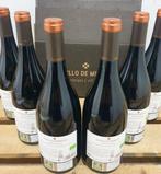 2020 Castillo de Mendoza, Autor Ecológico - Rioja - 6