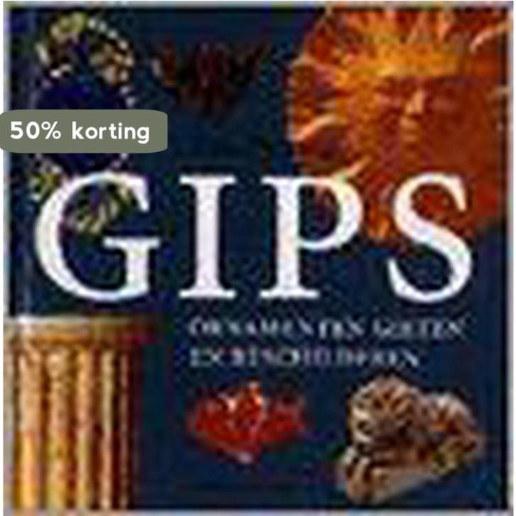 GIPS ORNAMENTEN GIETEN EN BESCHILDEREN 9789021324258, Boeken, Hobby en Vrije tijd, Gelezen, Verzenden