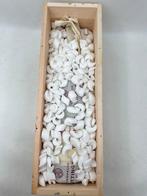 Taittinger, Brut Reserve - Champagne Brut - 1 Dubbele, Nieuw