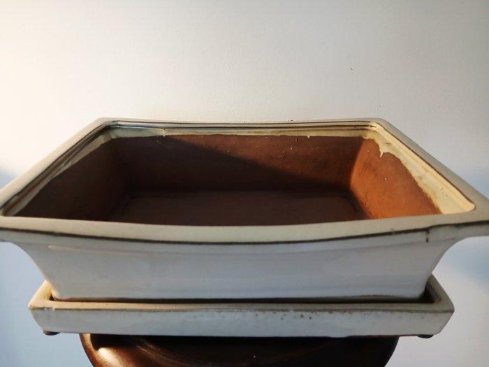 Pot (2) - Keramiek, Aardewerk - Bonsai, Cactus, Antiquités & Art, Curiosités & Brocante