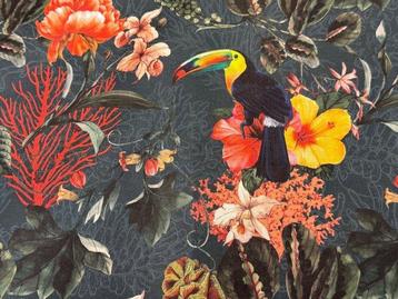 Toucans dans la jungle : explosion de couleurs exotiques -