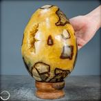Septarien Naturel Très Décoratif Œuf- 5348.61 g